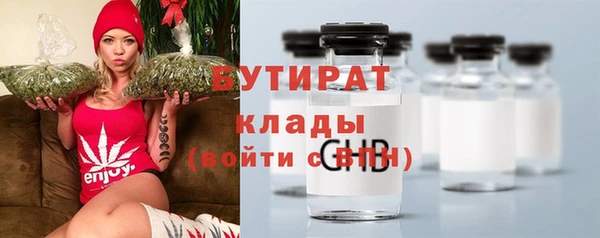 стаф Каменногорск