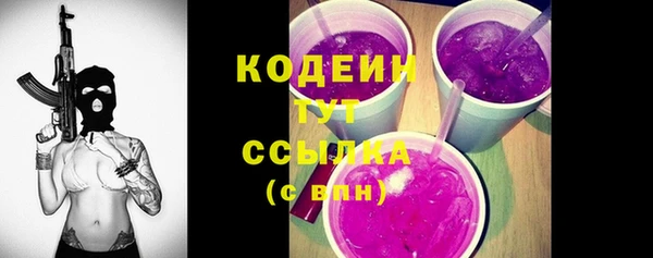 стаф Каменногорск