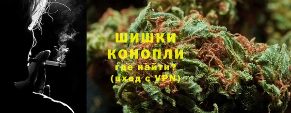 стаф Каменногорск