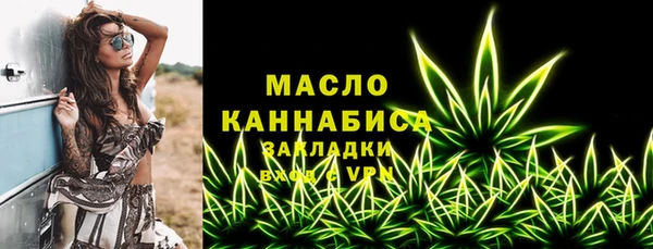 стаф Каменногорск