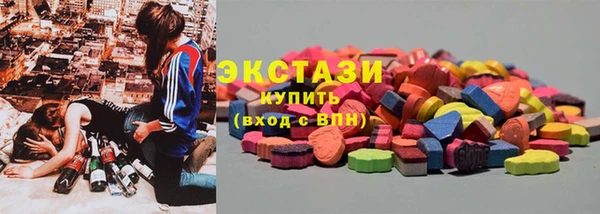 стаф Каменногорск